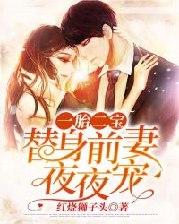 一胎二宝帝少千亿宠妻