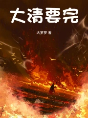 大清要完无弹窗