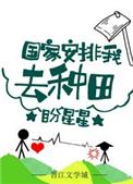 国家安排我去种田txt