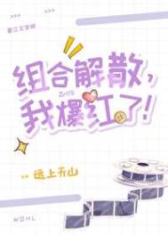 组合解散我爆红了TXT下载