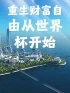 从世界杯开始到首富