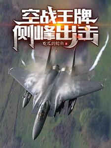空军王牌ace开局一座全系