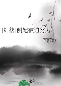 红楼 侧妃被迫努力当太子
