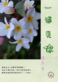 怎样遇见你