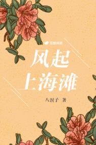 风起上海滩八溟子讲的什么
