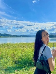 天降双胞胎老婆